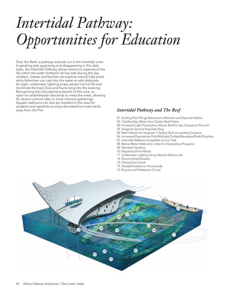 Intertidal Pathway: Opportunities for Education