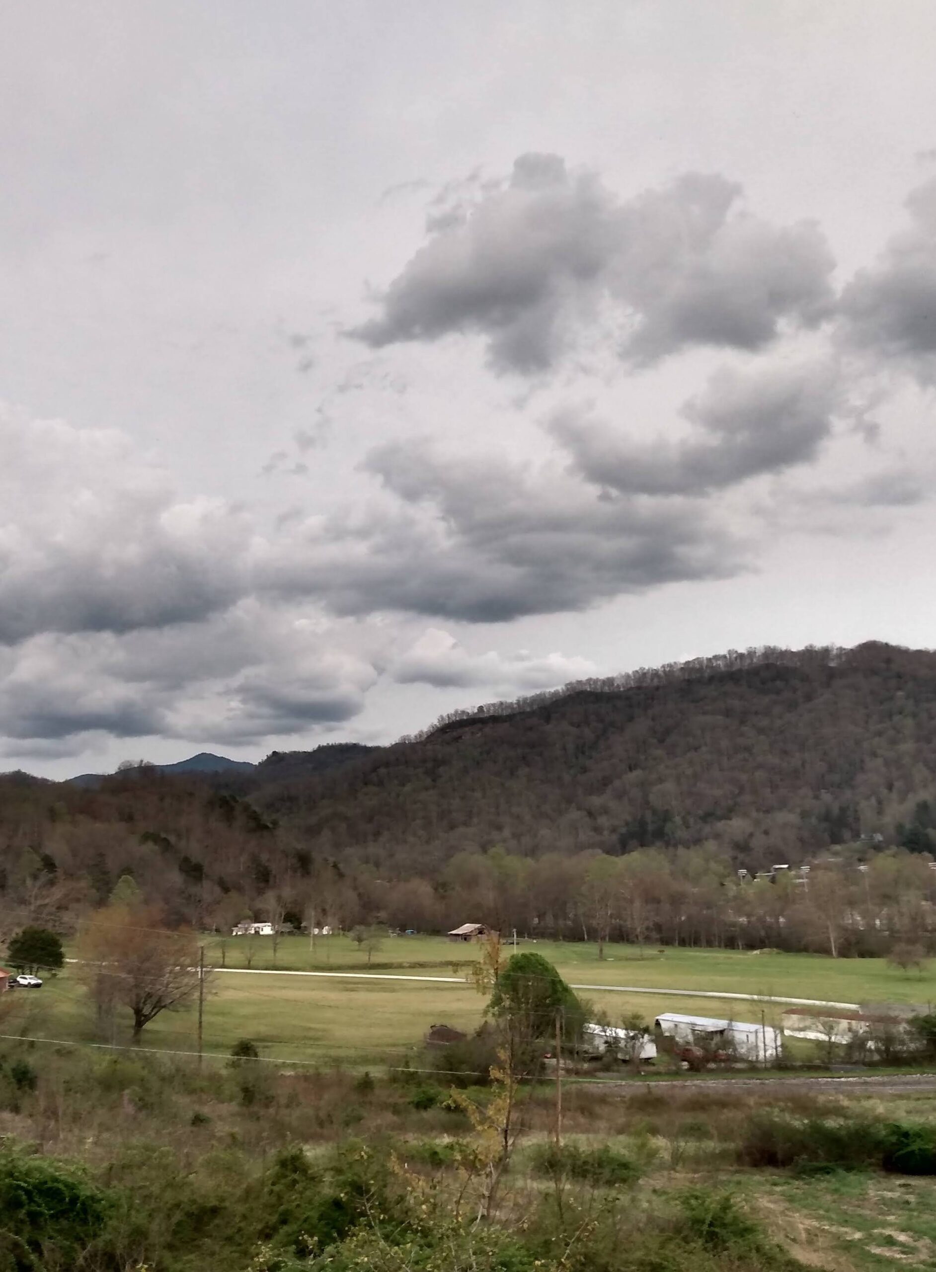 Image of a wooded mountain range with gray clouds in the sky and green grass below.