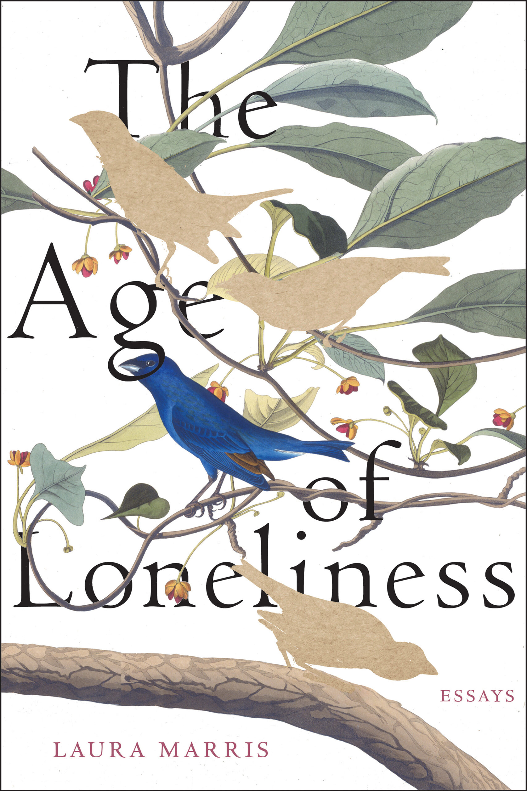 Book cover for Laura Marris's The Age of Loneliness