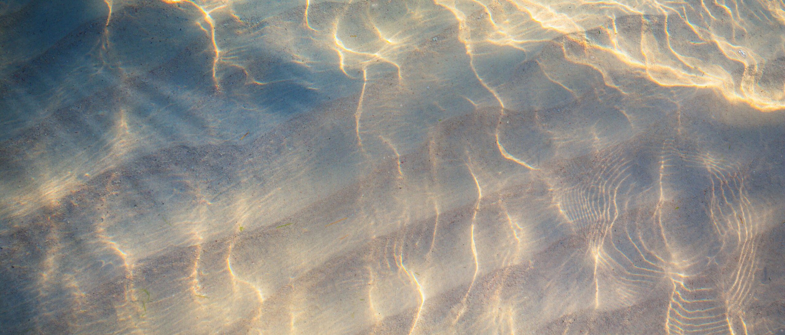 Shallow clear water rippling in the sunlight; light sand is visible beneath the water