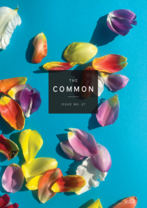 The Common, Issue 27, cover with colorful flower petals on a sky blue background