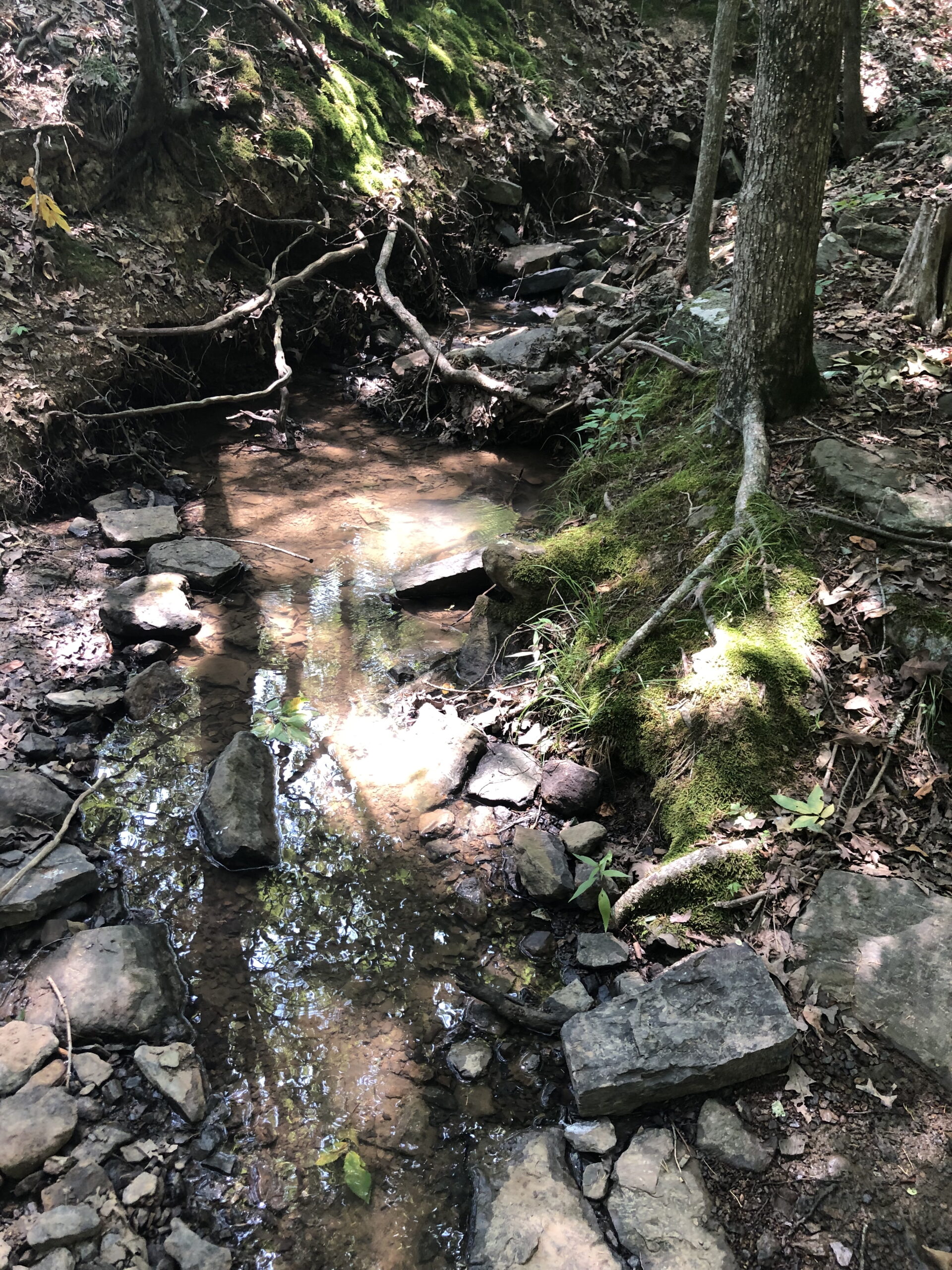 An image of rocks dappled by sunlight