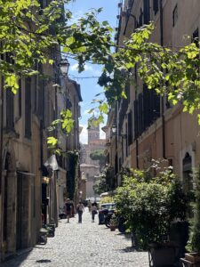 A sunny, cobblestone street framed by buildings with flat, golden-yellow facades. Ivy creeps between the buildings, hanging above the path. 