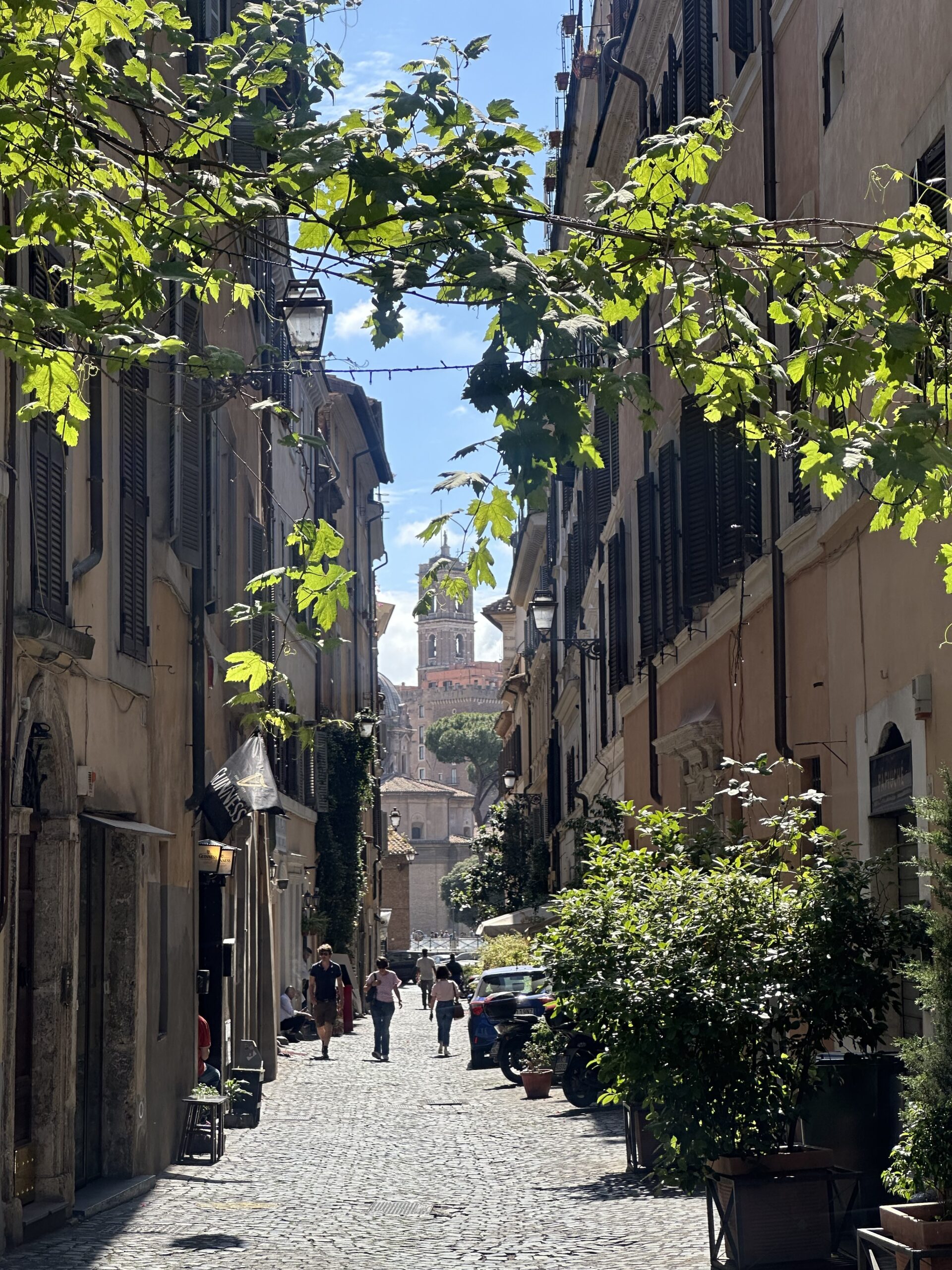 A sunny, cobblestone street framed by buildings with flat, golden-yellow facades. Ivy creeps between the buildings, hanging above the path.