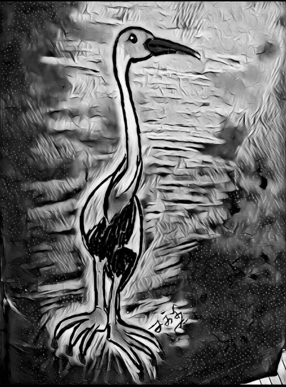 Black and white image of a bird with a long neck