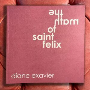 book cover of The Math of Saint Felix by Diane Exavier, red with white text