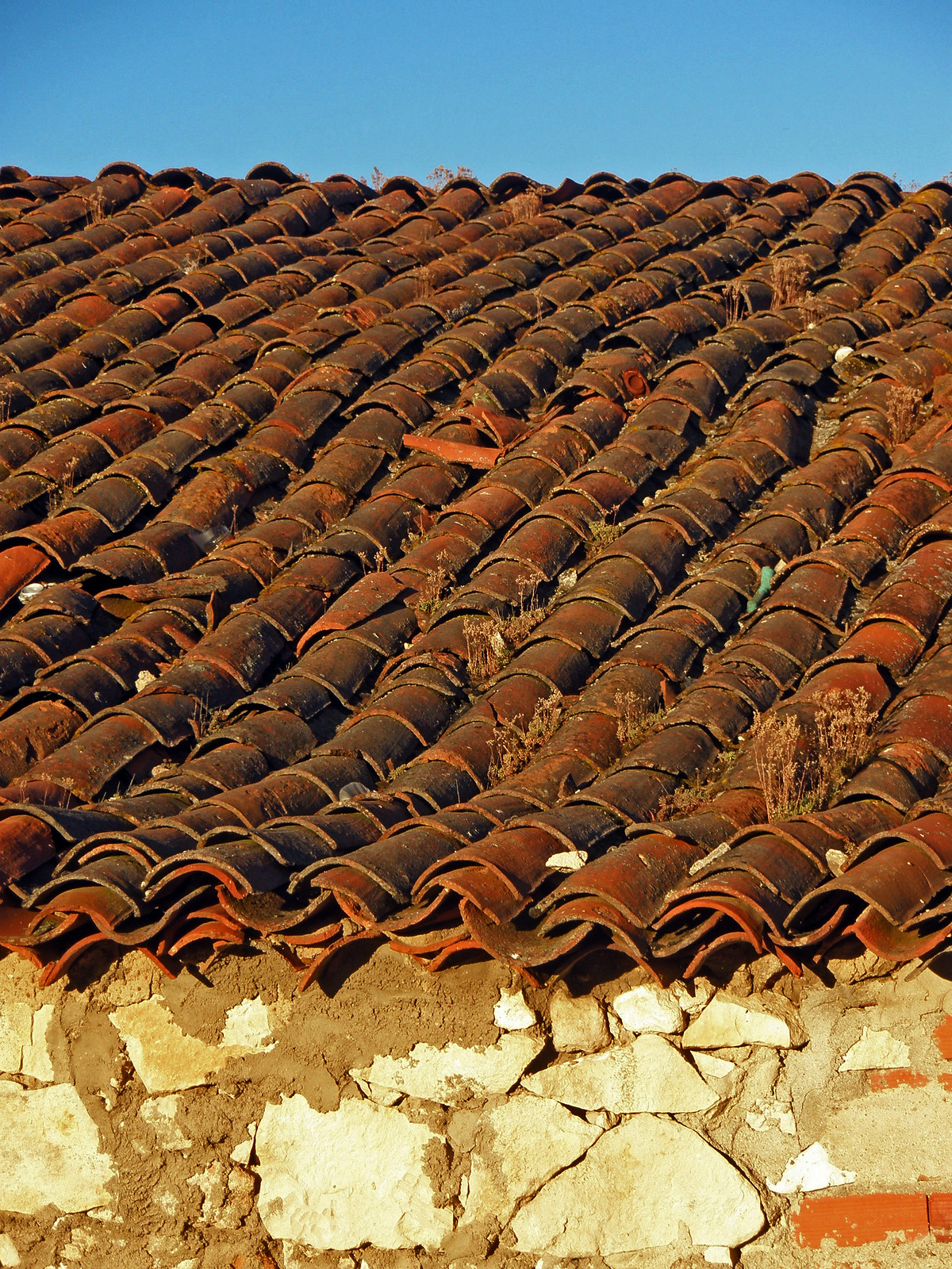 A close-up of a Spanish-style red-tiled roof. The tiles are warped with age, and scraps of vegetations poke out of the grooves.