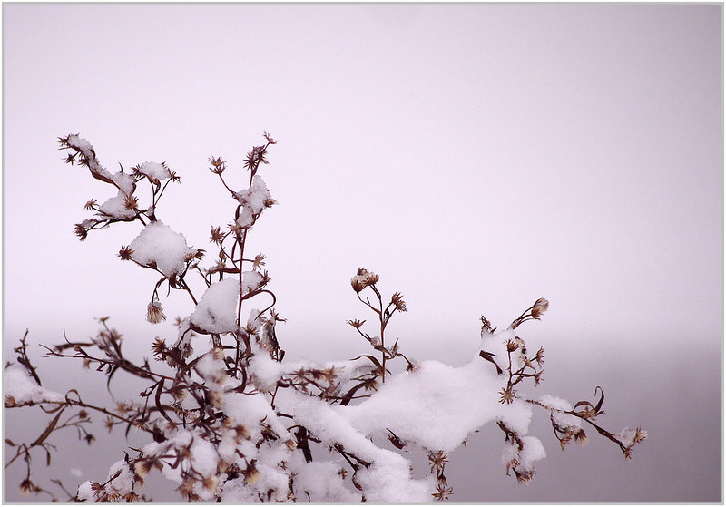 December Tanka