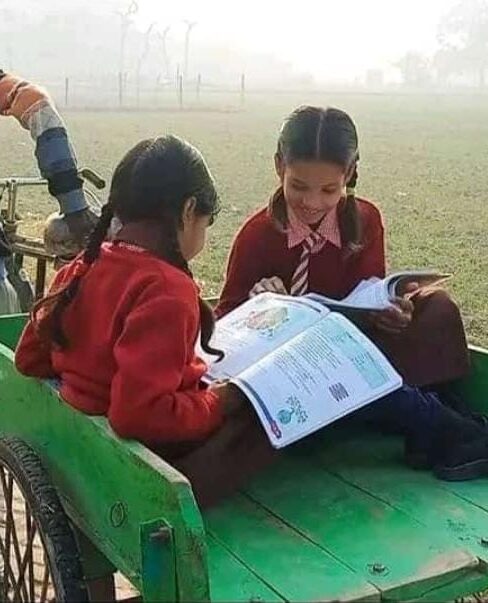 Two sisters reading together in a green wheelbarrow