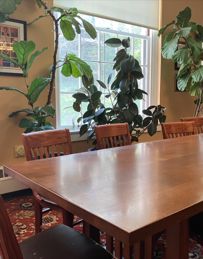 Long wooden table with chairs. Plants in the background.