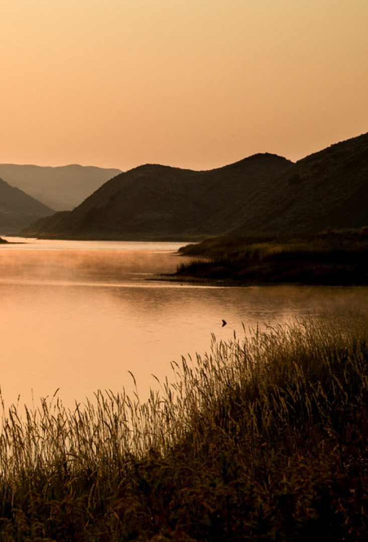Image of the Mississippi River