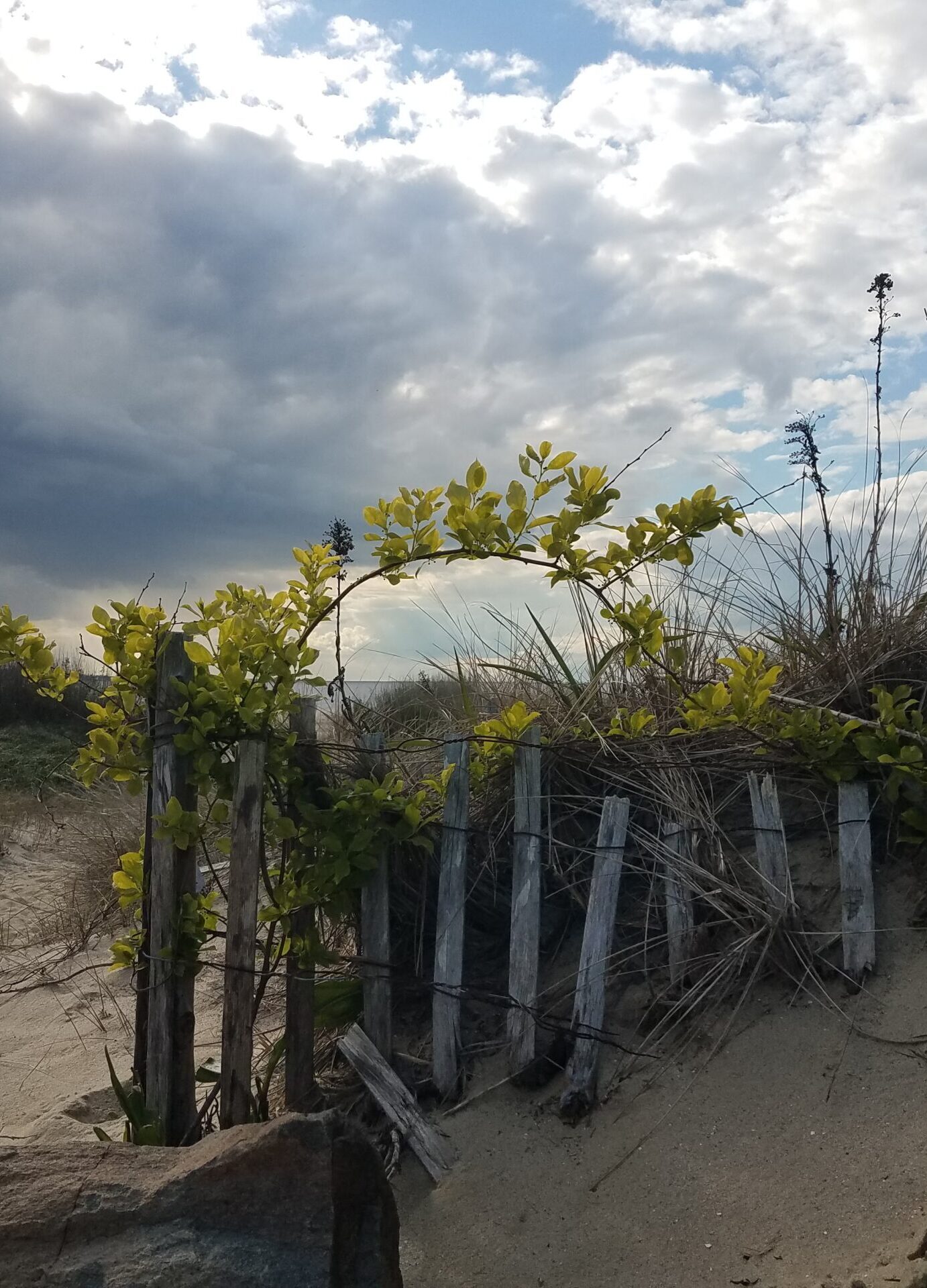 beach