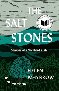 Book cover of The Salt Stones by Helen Whybrow