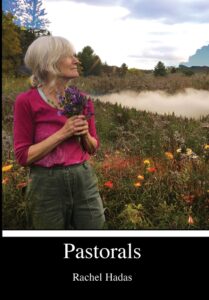 Book cover of Pastorals by Rachel Hadas