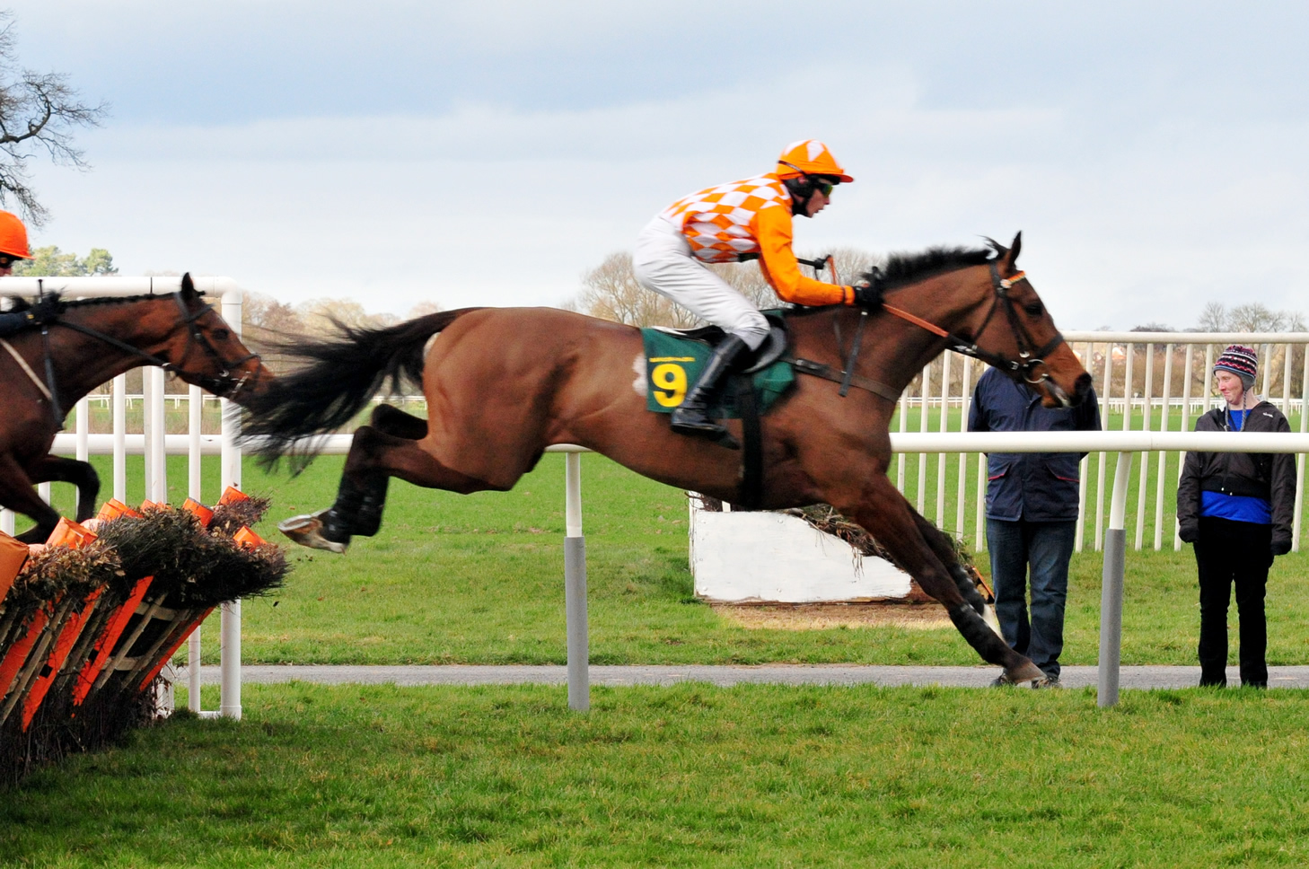 A jockey jumps a hurdle riding their brown horse.