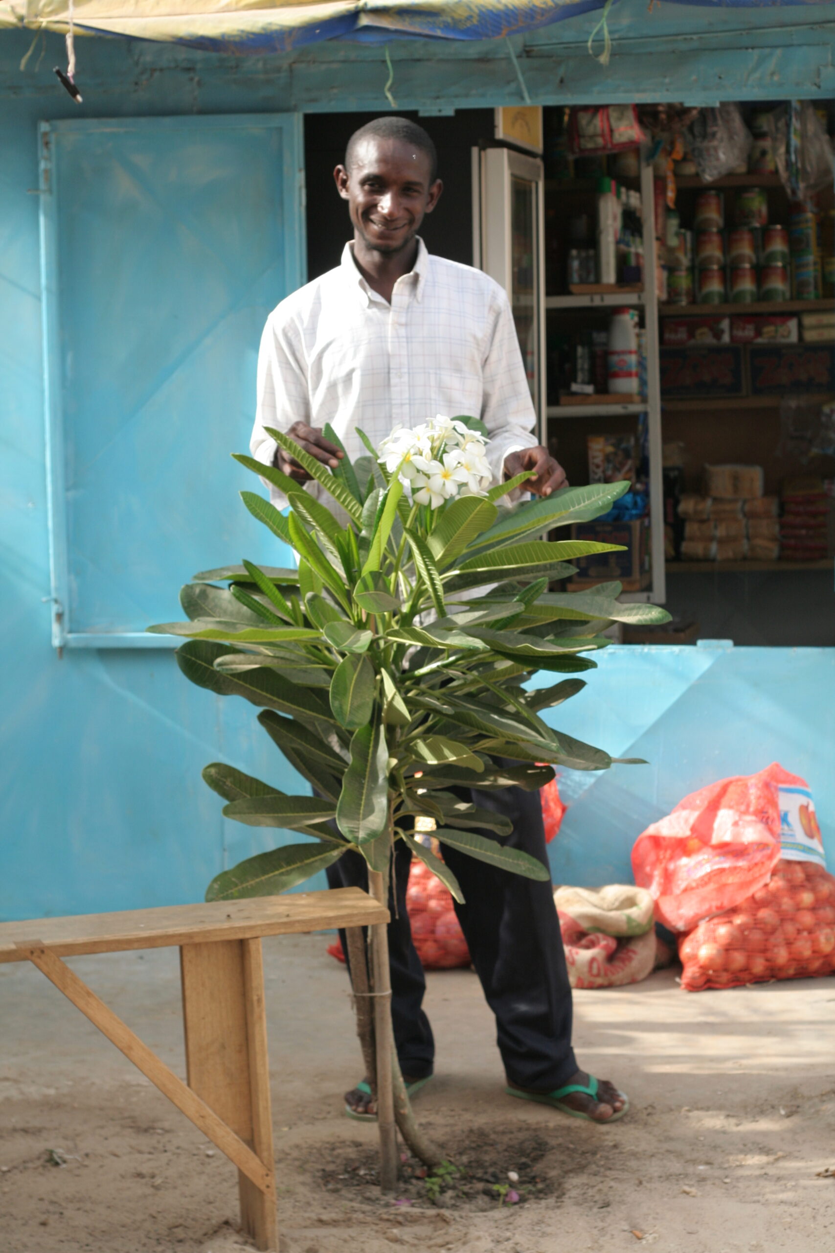 Naow stands behind a large plant with white flowers in the yard, smiling. 