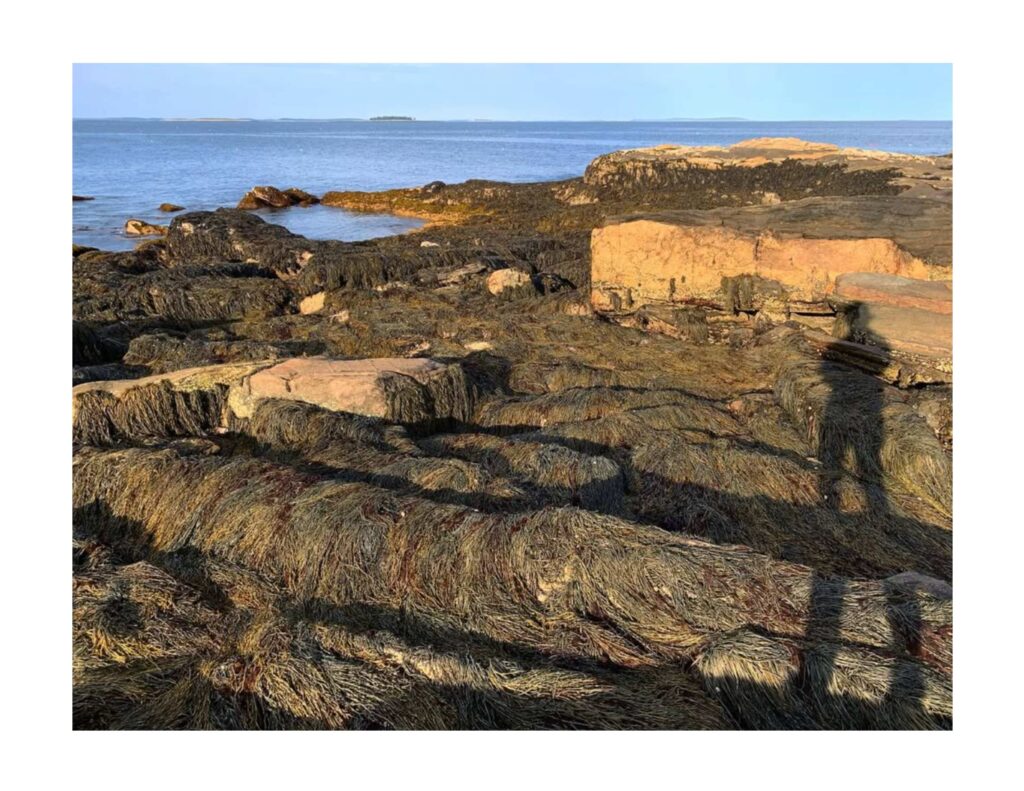 Coastal pool and a shadow