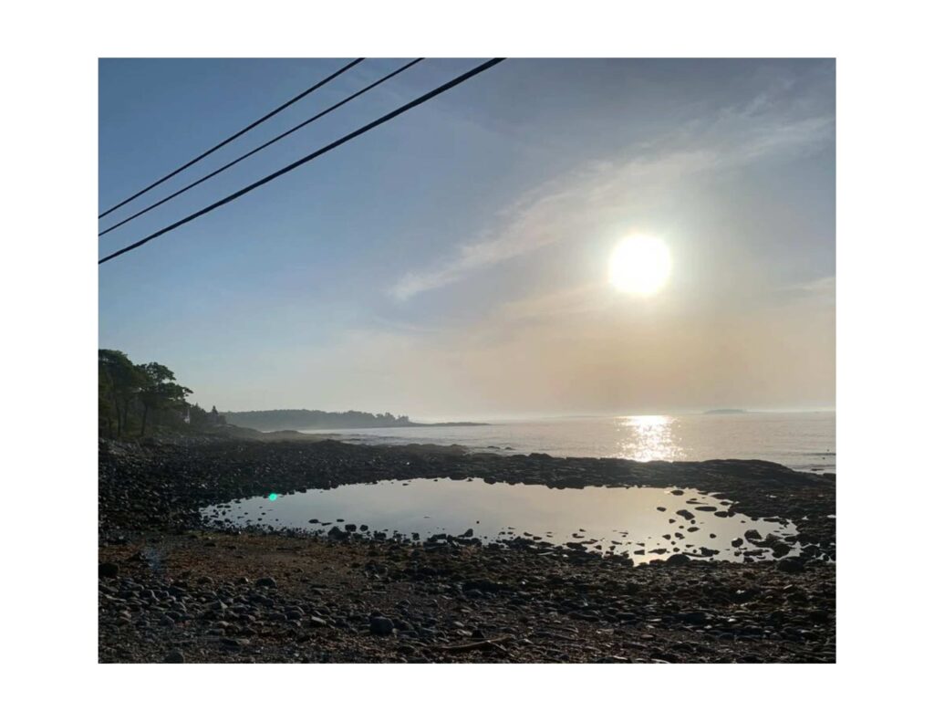 A salt pond and the setting sun