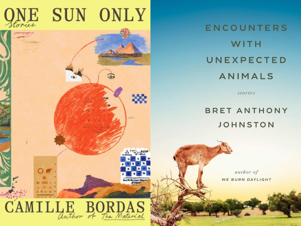 covers of One Sun Only by Camille Bordas and Encounter with Unexpected Animals by Bret Anthony Johnston