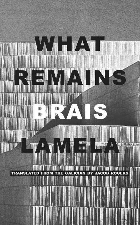Book cover of What Remains by Brais Lamela